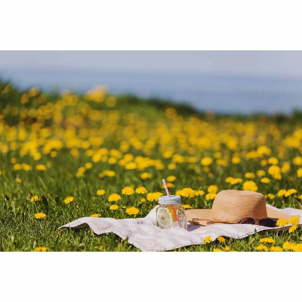 Allenjoy ไวนิลฉากหลังฤดูใบไม้ผลิทุ่งหญ้า Sunshine กลางแจ้งความงามสตูดิโอถ่ายภาพคุณภาพสูงฉากหลังไม่รวม Stand