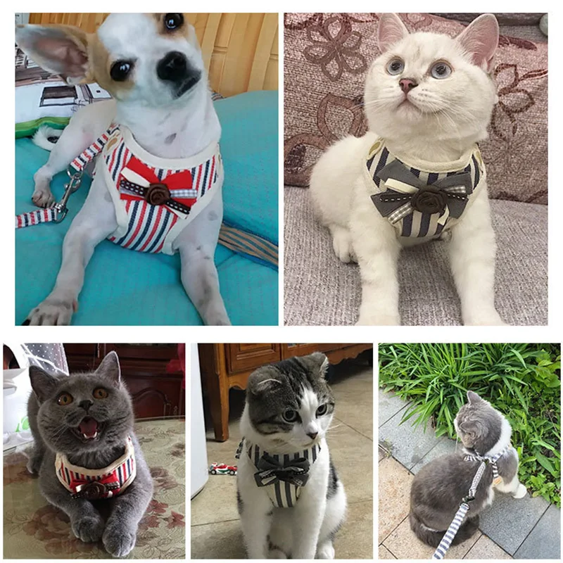 Soft Mesh Dog Harness Stripe Pet Puppy Dog Cat Harness Leash Set Cute Lace Pet Vest for Small Medium Dogs Chihuahua Yorkie Teddy