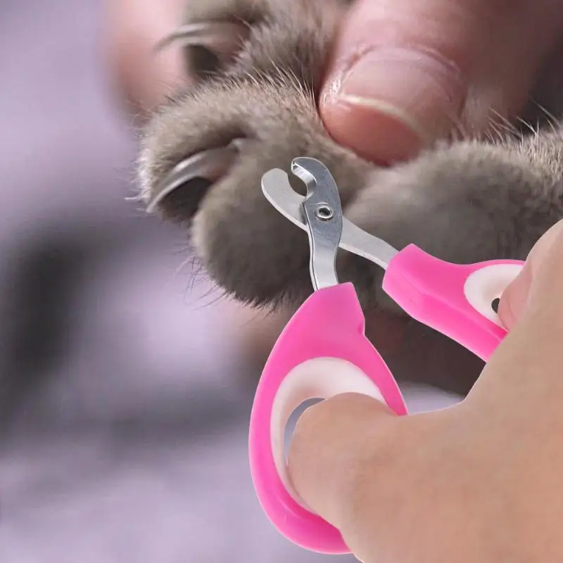 

Pet Nail Clipper Scissors Pet Dog Cat Nail Toe Claw Clippers Scissors Trimmer Grooming Tools for Pet Supplies Random Color