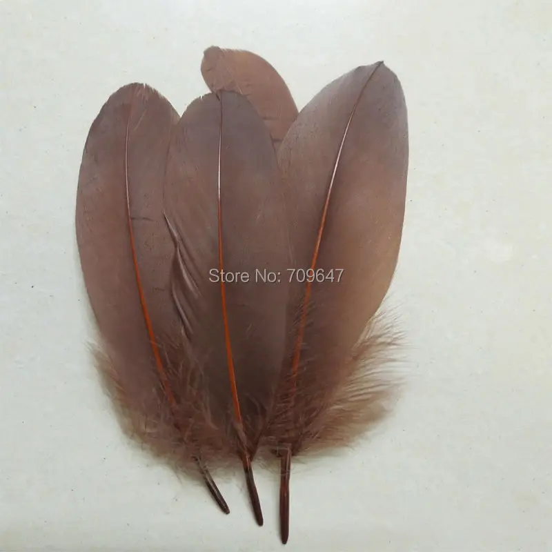 200pcs/lot!15-20cm long Goose Feathers,COFFE Goose Satinettes Loose Feathers,Cheap Bulk Crafting Feathers for Decorative Use