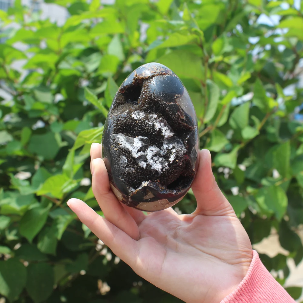 580g Natural curvature of the furnishing articles Turtle grain stone egg  Ball Septarian nodule Crystal Healing quartz 52