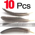 10Pcs