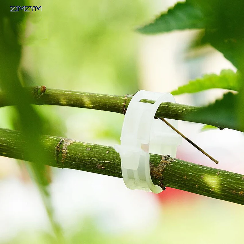 10ピース/セット新品質耐久性のあるプラスチック植物クリップファスナー植物ブドウトマト野菜ガーデンツール