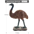 American Ostrich