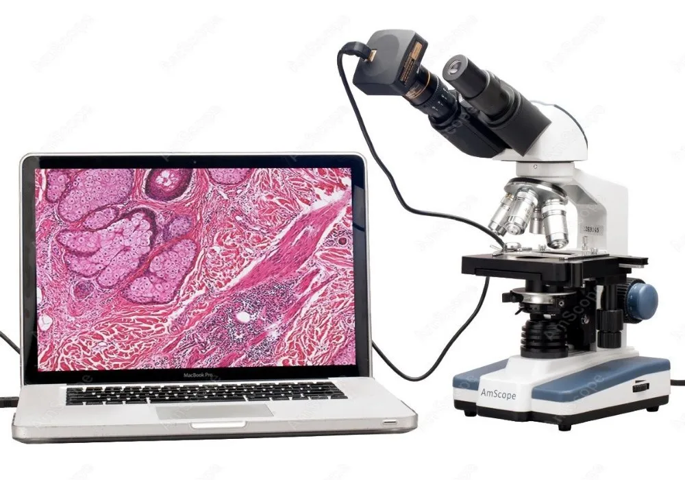 AmScope Student & Professional LED Binocular Compound Microscope 40X-2000X+ Siedentopf Head + 1.3MP USB 2.0 Camera