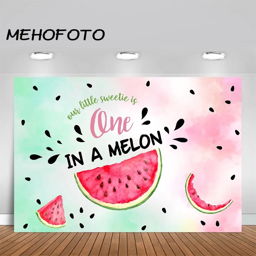 

Watermelon Party Backdrop One in a Melon Birthday Party Banner Photography Background First Birthday Pink Melon Party