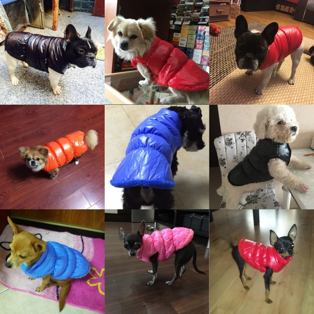 Warm Windproof Vest for Pets, Dog Clothes, Fleece Inside, Puppy Outfit, Small, Medium, Large Dogs, Winter