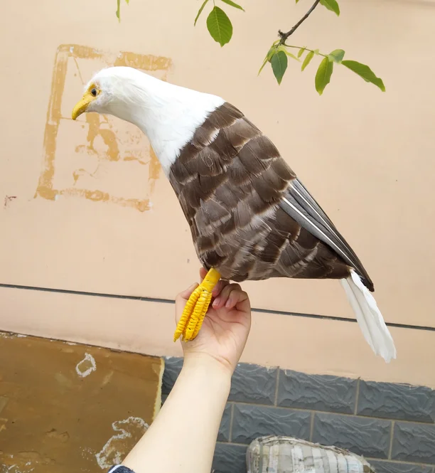 white&gray feathers eagle bird large 45cm model artificial bird handicraft photography prop,home garden decoration gift p1931