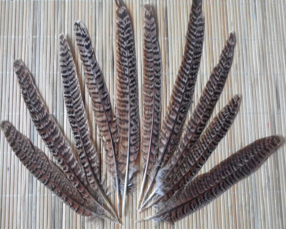 10PCS 10-15cm / 4-6inches beautiful natural pheasant feather