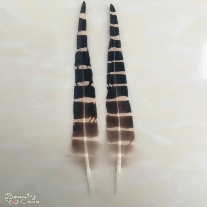 Free shipping wholesale high quality 50pcs owl eagle feather 6-8 inch / 15-20 cm various decorative diy collect