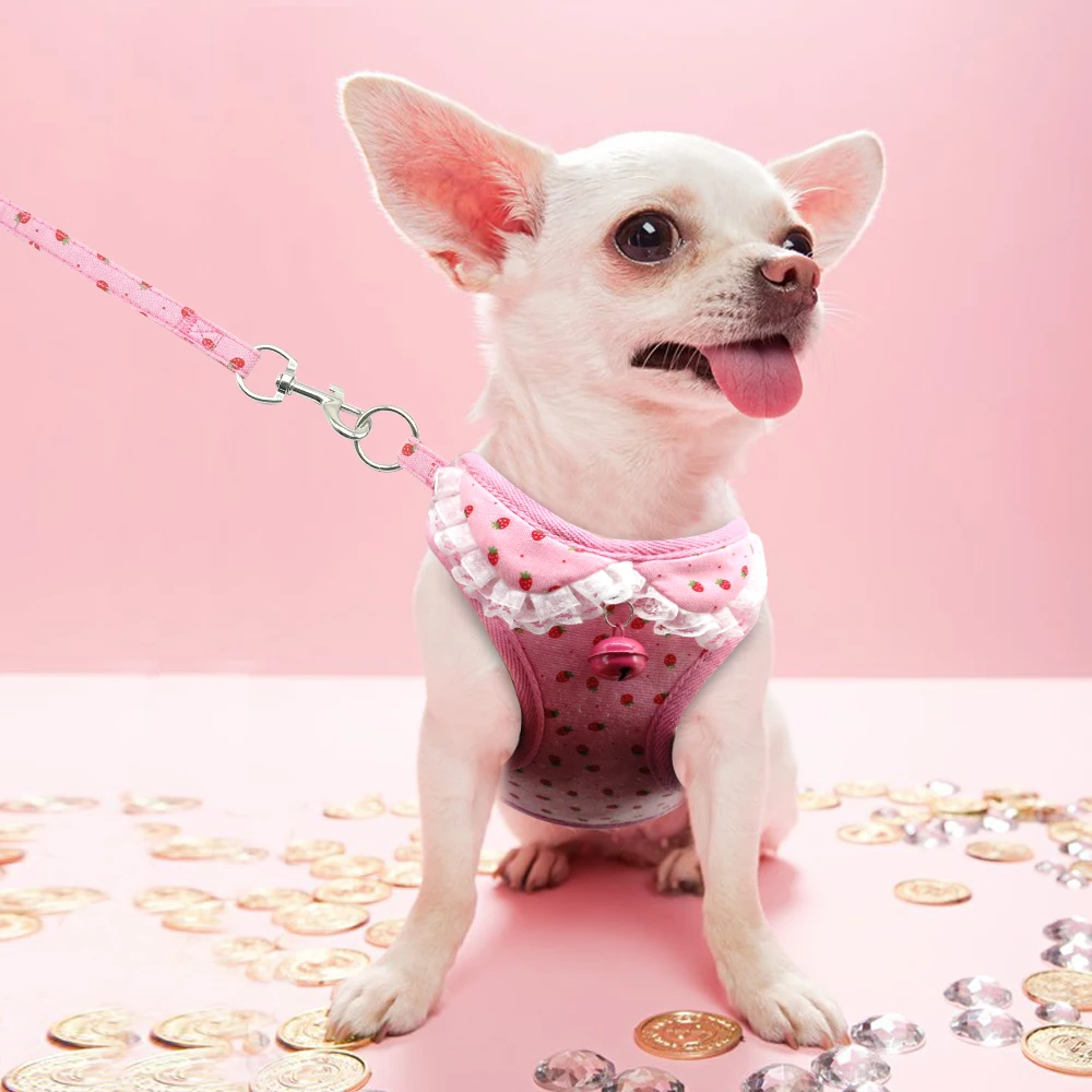 Dog Harness Vest and Leash Set Step-in Mesh Printing Dog Vest Harnesses for Small Medium Dogs Puppy Chihuahua Cat Pink