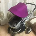 Púrpura