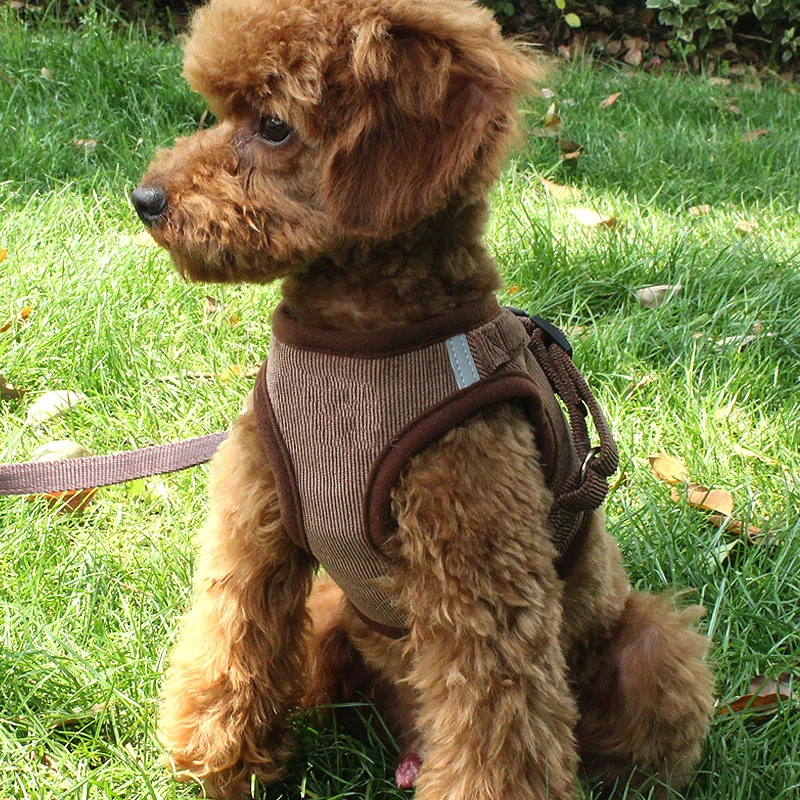 Reflective Pet Dog Vest Harness And Leash Set Windproof Corduroy Adjustable Chest Strap Breathable Mesh Harnesses For Dogs
