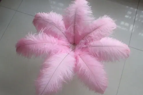 wholesale Quality 10pcs perfect Leniency Male pink natural ostrich feather 12-14inch/30-35cm decorative diy