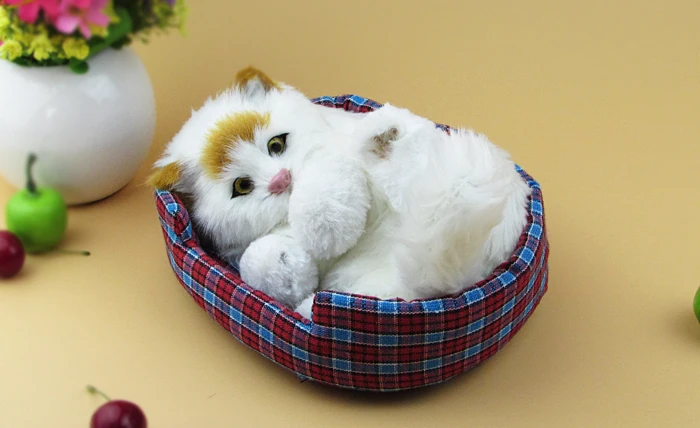 

Желто-белая имитационная модель кошки, забавный подарок, материал: полиэтилен, искусственный мех, размер 21смx14смx12см