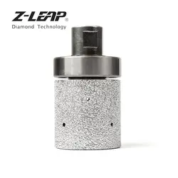 Z-LEAP 2