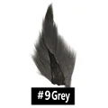 Grey 1PC