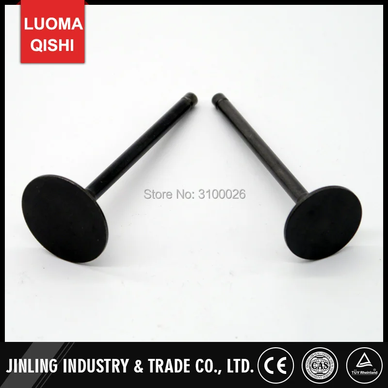 

Intake Exhaust Valve Fit For ATV 300cc Engine Jinling JLA-925E JLA-931E Jinlang Buyang Feishen FA-D300 H STELS 300 Quad Parts