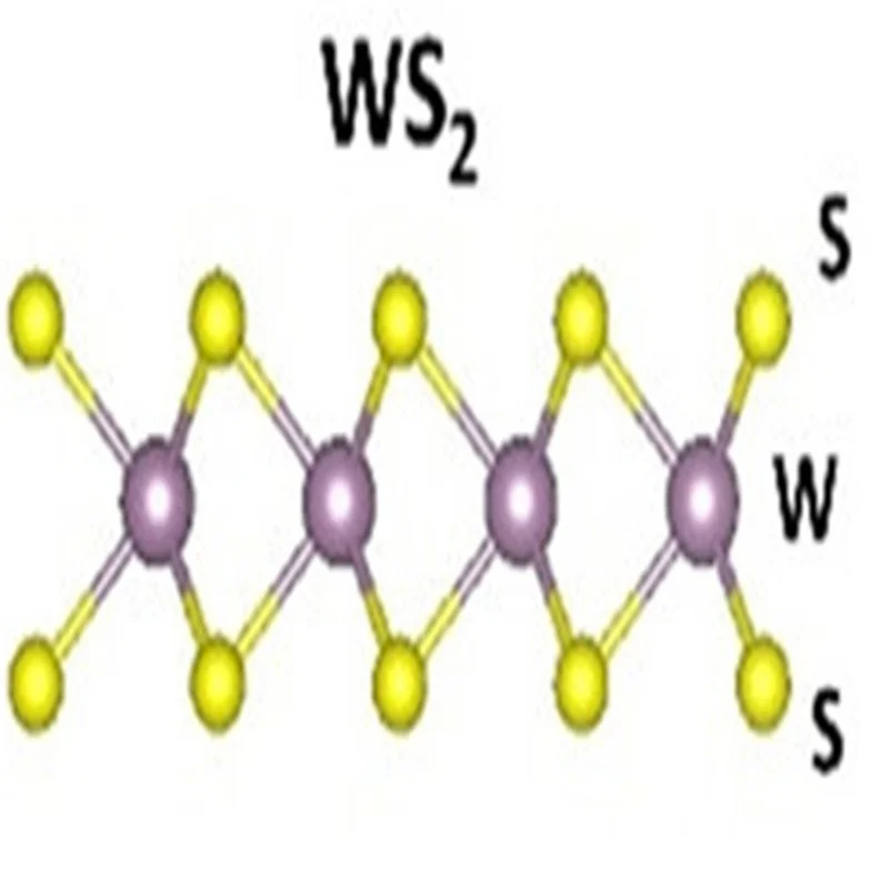 

CVD single layer tungsten disulfide