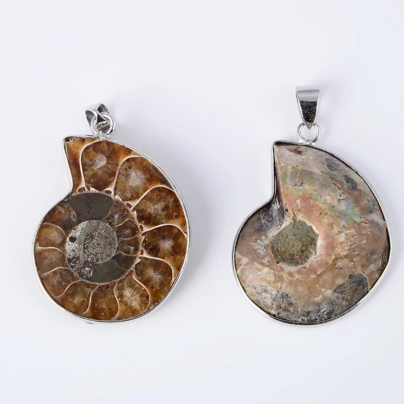 New Fashion 1Pc Natural Ammonite Seashell Snail Shape Stones Pendants Ocean Conch Shell Pendant for Women Men Necklace Gift