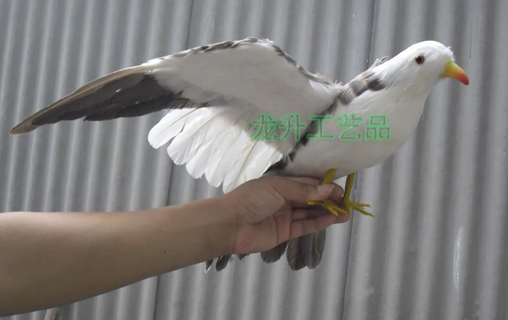 

large 38x60cm spreading wings simulation seagul model toy ,plastic foam & feathers seagull ,prop,home Decoration gift w5594