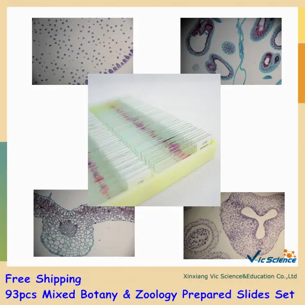 93pcs Mixed Botany & Zoology Prepared Slides Set