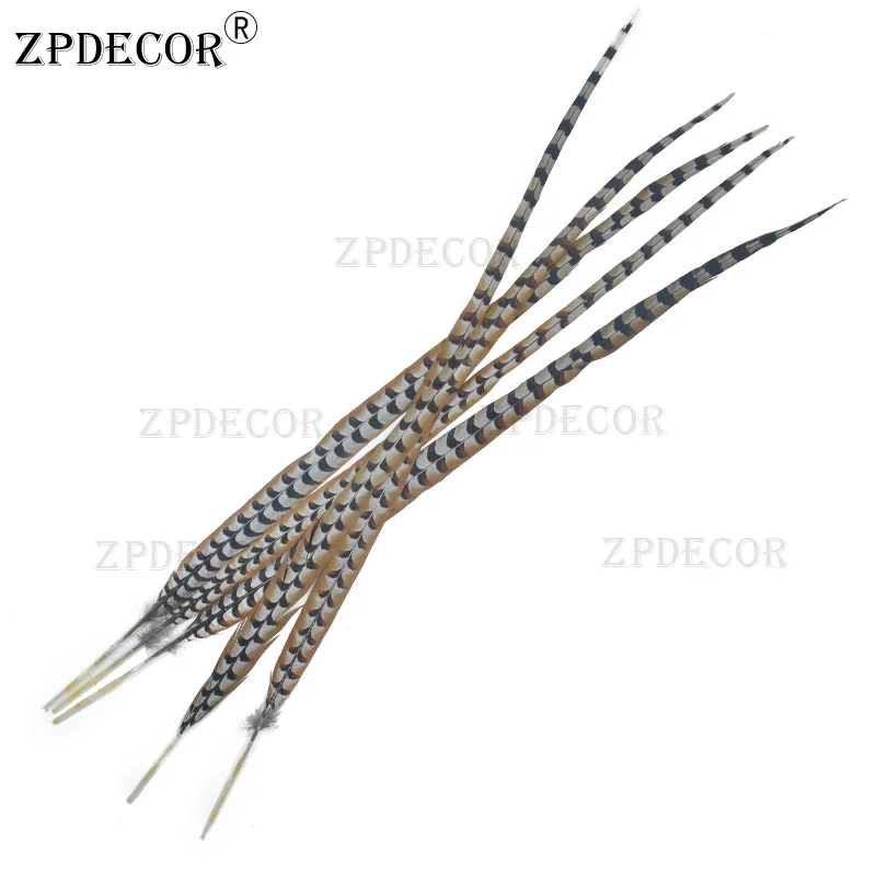 ZPDECOR-Reeves Venery Pheasant Feathers, Size 100-110 cm, 40-44 Inch