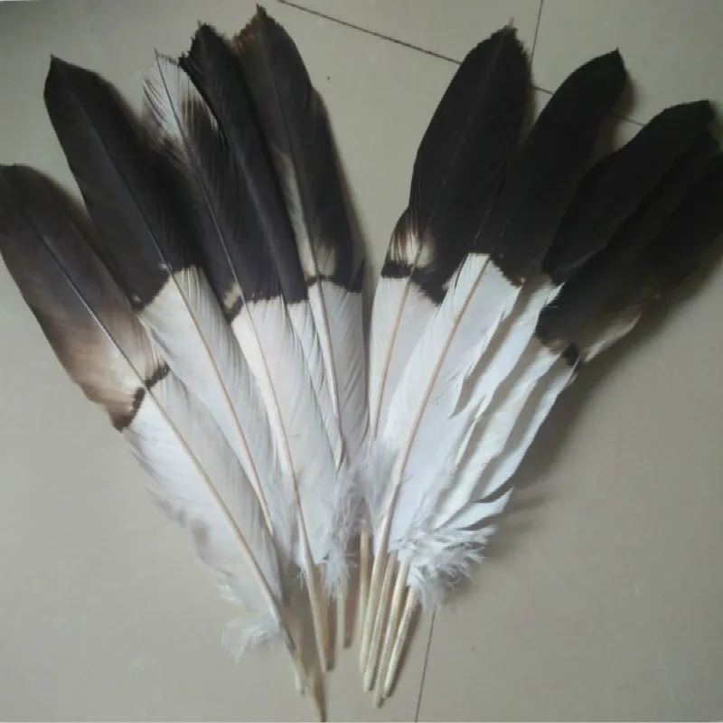 NEW Wholesale perfect 10pcs high quality scare natural Eagle tail feathers 35-42cm/15-17inch Decorative diy stage performance