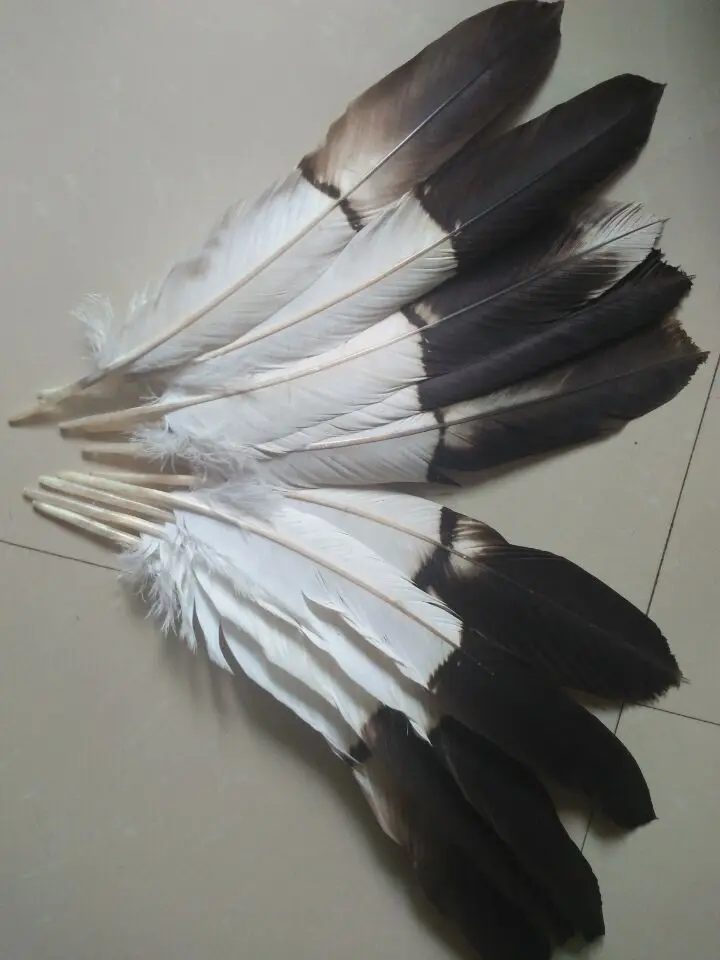 NEW Wholesale perfect 10pcs high quality scare natural Eagle tail feathers 35-42cm/15-17inch Decorative diy stage performance