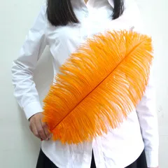 

Wholesale free shipping high quality 20pcs natural orange ostrich feather 20-22inch / 50-55cm Variety of decorative