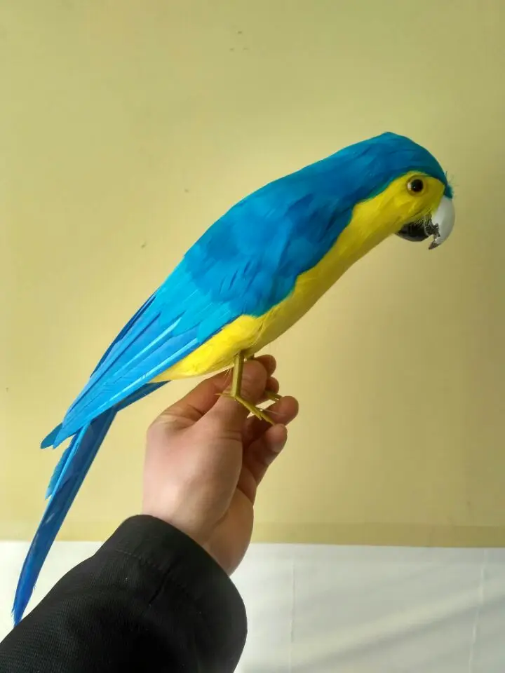 new simulation blue&yellow parrot model foam&feathers parrot bird about 42cm