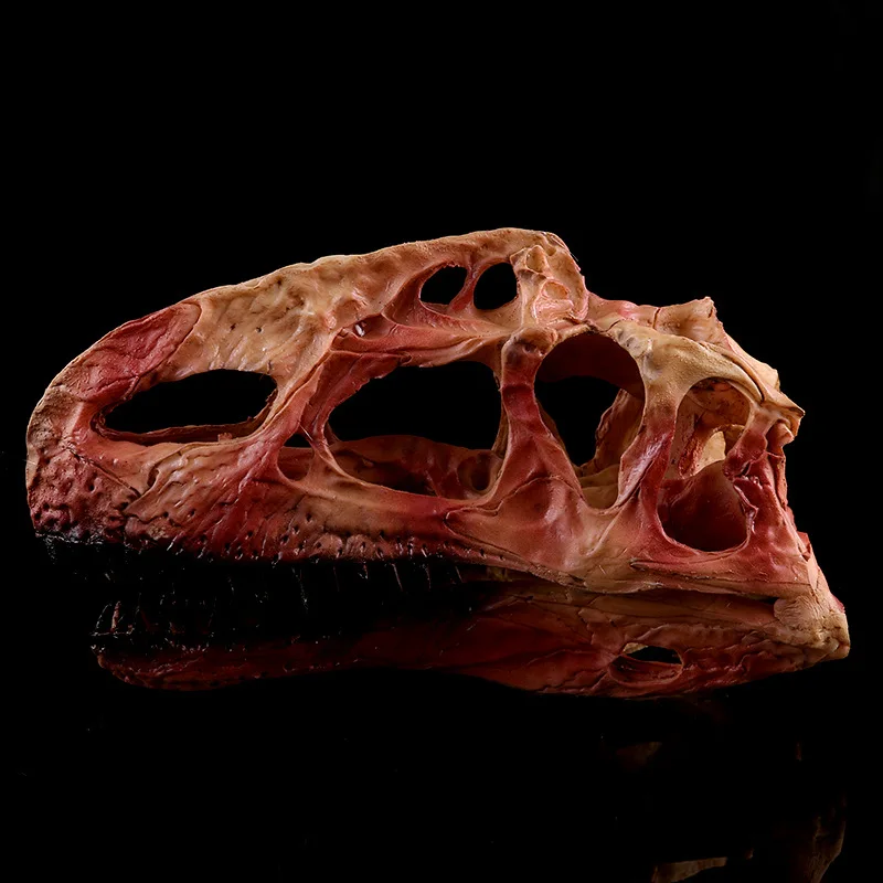 

Однопозвоночник Дракон Череп искусственная Смола череп животное Исследование Обучение творческое украшение для дома индивидуальное украшение