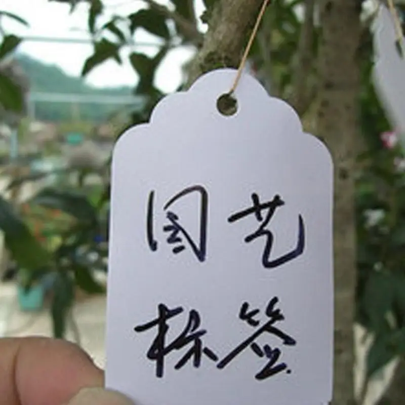 プラスチック製の植物ラベル100個,3.6x2.5cm,吊り下げ,庭の植木鉢,赤ちゃん用,再利用可能なプランター,ラベルマーカー