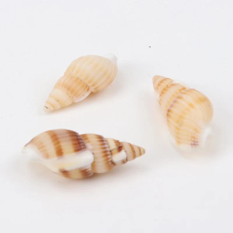 19-25mm Natural Spiral Shell Loose Beads for jewelry making DIY 50pcs TRS0126X