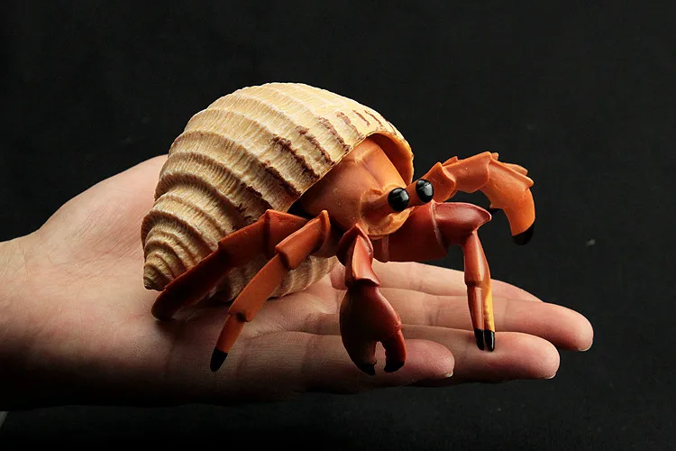 Toys Hermit Crab Simulation Model Marine Animals Sea Animal Kids Gift Educational Props Action Figures