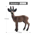 Reindeer