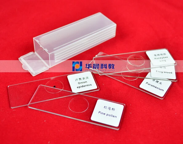 

5pcs Glass Bio-microscope Prepared Basic Science Biological Microscope Slides Microscopy Specimen for Student