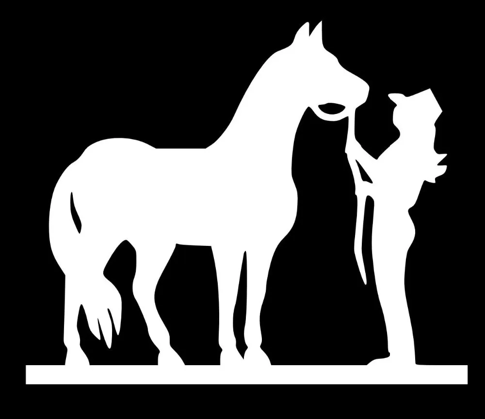 POOMOO Wall Decor Cowgirl and Horse Vinyl Decal Sticker 6x5inch