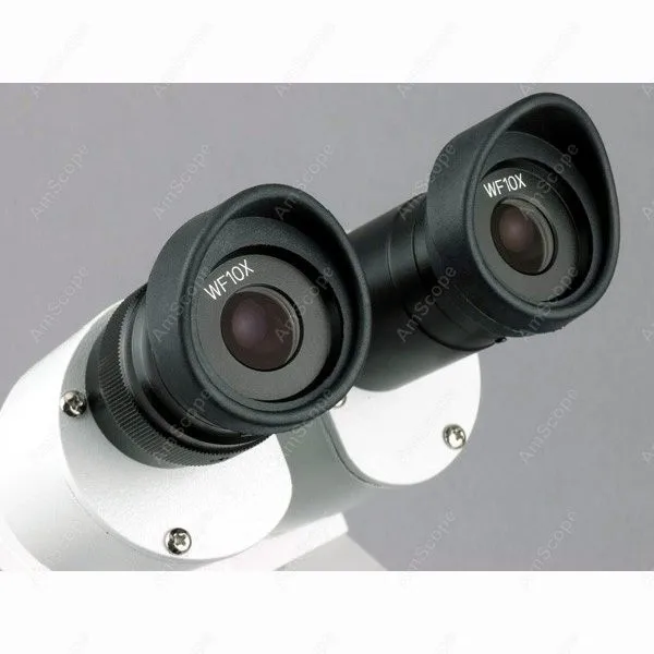 Về phía trước Stereo Kính Hiển Vi-AmScope Nguồn Cung Cấp 20X-40X-80X Về Phía Trước Stereo Kính Hiển Vi + USB Camera Kỹ Thuật Số