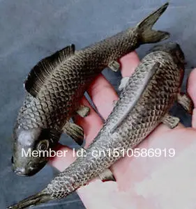 

2pc Folk bronze carvings a auspicious lifelike Wealth fish statue Lucky Animal