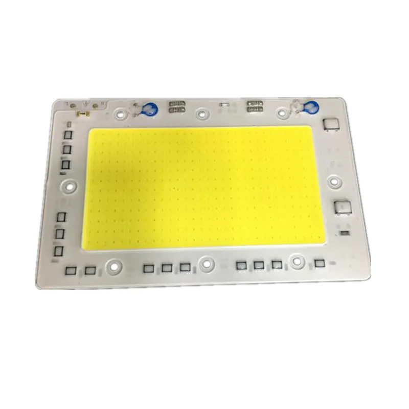 50w/100w /150w LED COB CHIP lighting AC220V 110V LED Floodlight Lamp SMART IC city power White/warm white