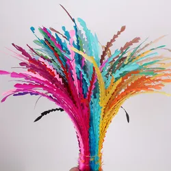 Multiple Colors 100Pcs/Lot Colored 25-30Cm Shaped Loose COQUE ROOSTER TAIL FEATHERS Long Feathers for Fascinator Hats Millinery