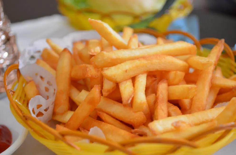 UDZL-T17 Piccolo Desktop di 17L Frittura di Pollo Macchina