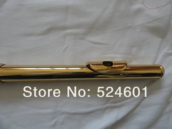 New Arrival Exquisite 16 Holes Plus The E Key Gold Plated Flute Professional Musical Instruments For Students C Tune Flute