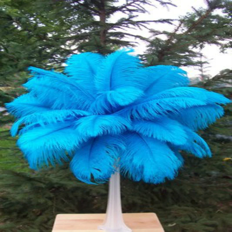 Wholesale free shipping high quality 50pcs natural Lake blue ostrich feather 20-22inch / 50-55cm Variety of decorative