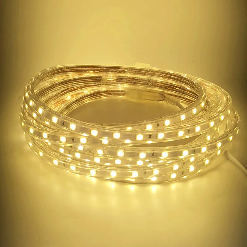 ECLH-tira de luces LED Flexible, 60leds/m, resistente al agua, SMD 5050, CA 220V, enchufe de alimentación de 1M/2M/3M/4M/5M/6M/7M/8M/9M/10M/15M/20M