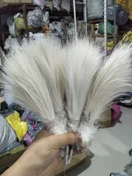 wholesale high quality 50pcs pure white egret feather silk 20-25cm/8-10inch decorative accessories wedding Carnival diy hot