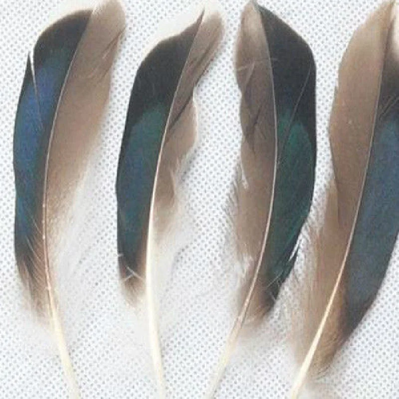 50Pcs Mallard Duck Wing Feathers Quill Natural/Shocking Blue 5-6'' (12-15cm)