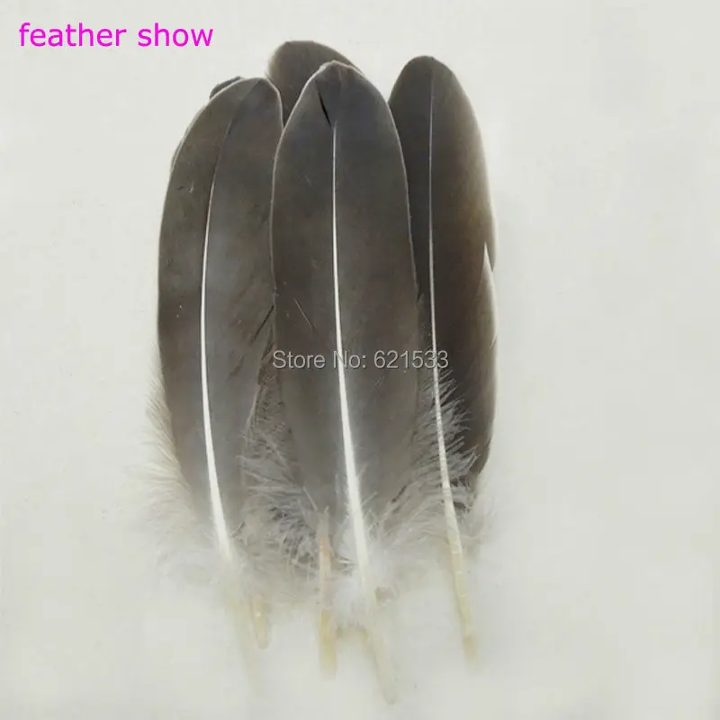 

200Pcs/LOT!15-20cm Beautiful Goose Feathers -Stiff Feathers -Craft Feathers - "smokey brown"/smokey grey"Colour