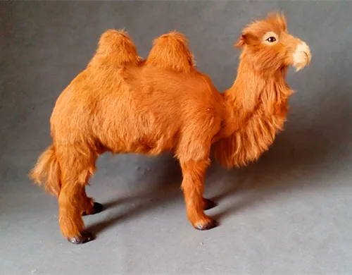 

simulation two-humped camel 45x36cm model polyethylene&furs camel model home decoration props ,model gift d429